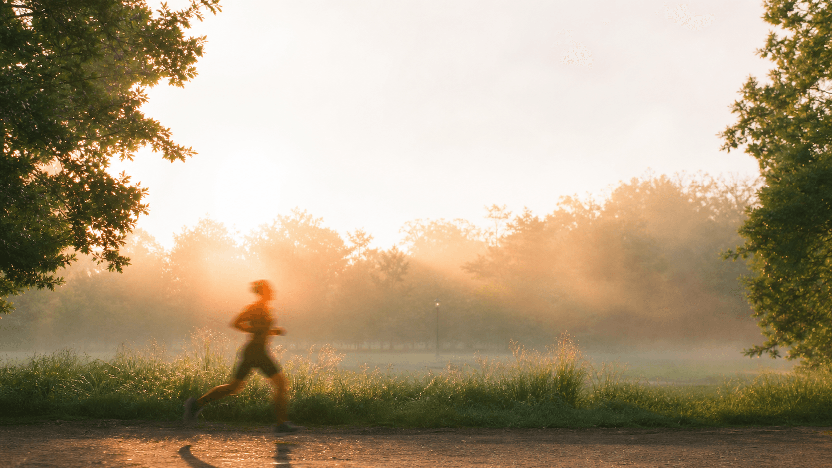 Uma pessoa correndo ao amanhecer num parque verde e enevoado, iluminado pelo sol, a energia atlética serena por trás da nutrição esportiva positiva